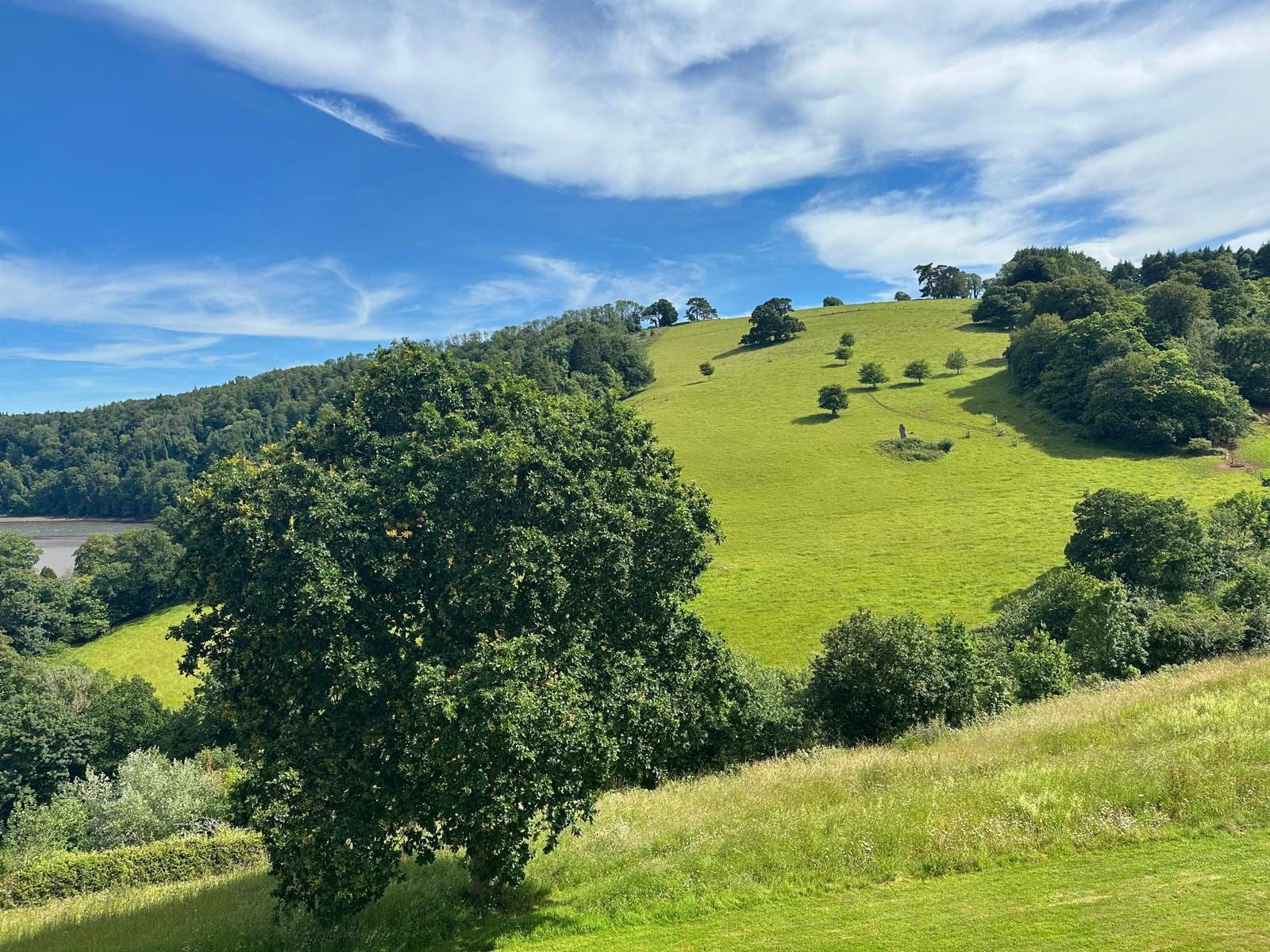 Green rolling countryside and a river estuary in the distance
