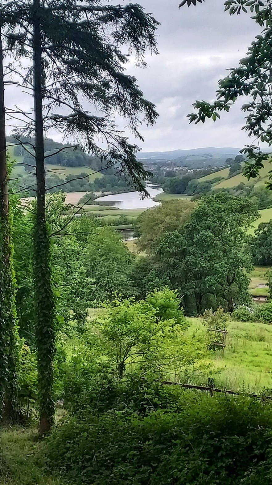 A view down a river estuary towards the sea, with green banks on either side